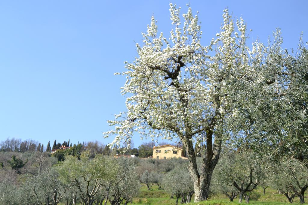 Agriturismo La Corte Pistoia Eksteriør billede